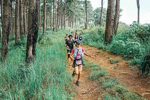 BIB: 
                            <button type="button" onclick="openModal(25654695)" class="btn btn-primary btn-sm float-right btn-popup" data-toggle="modal" data-target=".modal-high-quality">
                        <i class="fas fa-shopping-cart"></i> Add to Cart
                    </button>
                                            <button type="button" onclick="isThisMe(25654695, true)" class="btn btn-success btn-sm float-right btn-popup btn-isme hidden" data-toggle="tooltip" data-placement="bottom" title="นี่คือรูปของคุณใช่ไหม คลิกที่นี่เพื่อเอาเข้าอัลบั้ม">
                        <i class="fas fa-plus"></i> Add to album
                    </button>
                    <button type="button" onclick="isThisMe(25654695, false)" class="btn btn-warning btn-sm float-right btn-popup btn-isnotme hidden">
                        <i class="fas fa-ban"></i> Remove from album
                    </button>